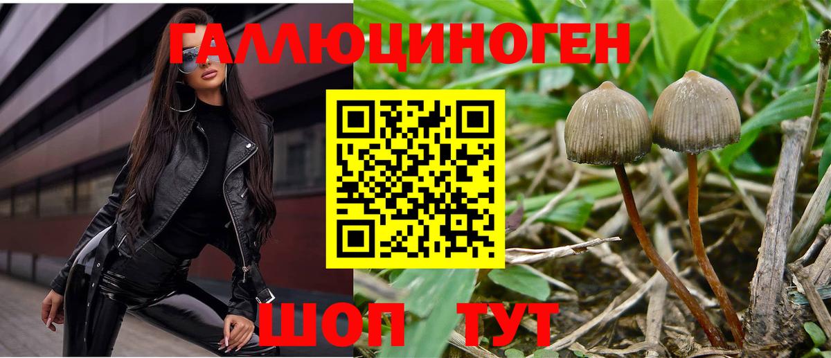 Мегион  Псилоцибиновые грибы MAGIC MUSHROOMS  Вход с VPN 